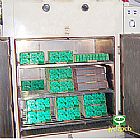 生產(chǎn)車間5